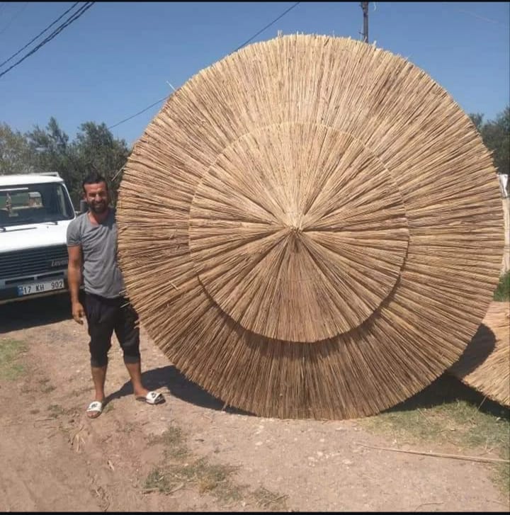 Proje